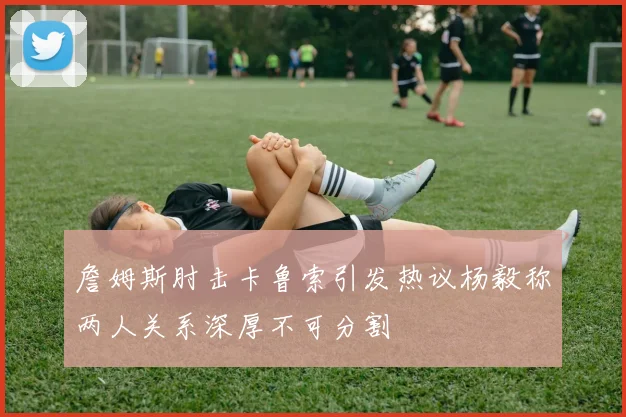 詹姆斯肘击卡鲁索引发热议杨毅称两人关系深厚不可分割